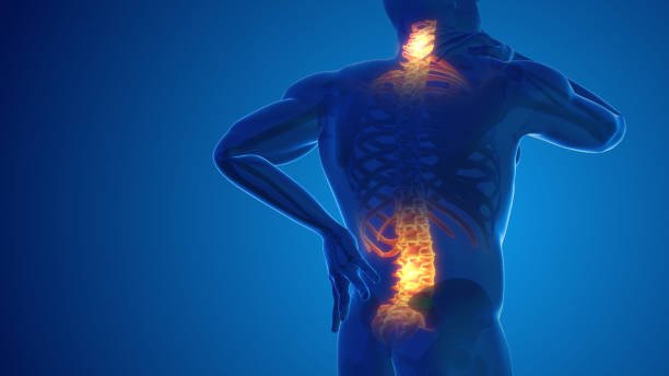 Back Pain Management Guide